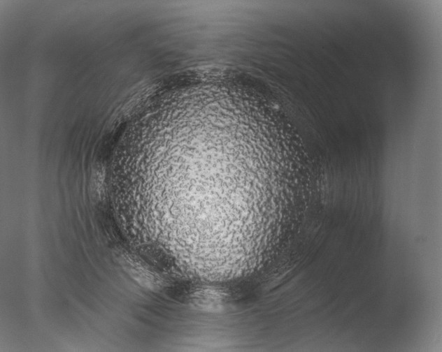 X0000076410610200610161102