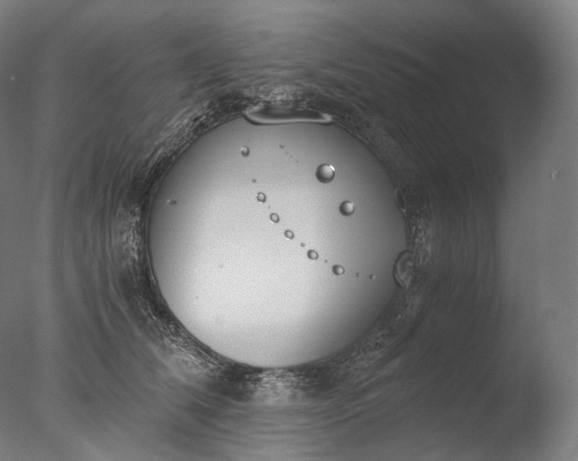 X0000076410612200610161102