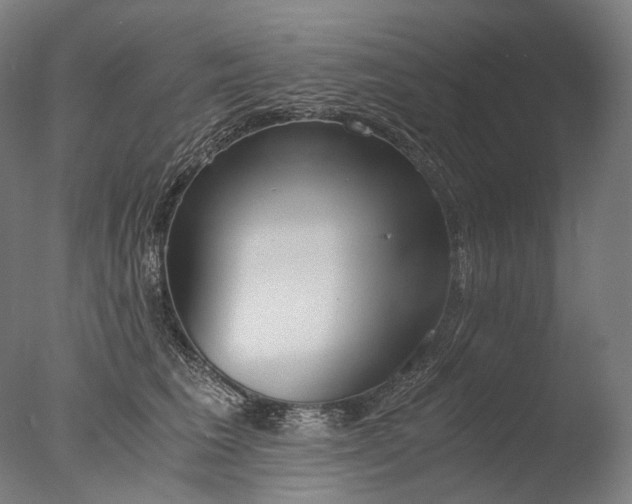X0000076410613200610161102
