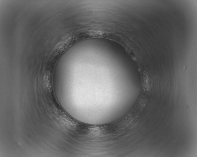 X0000076410616200610161102