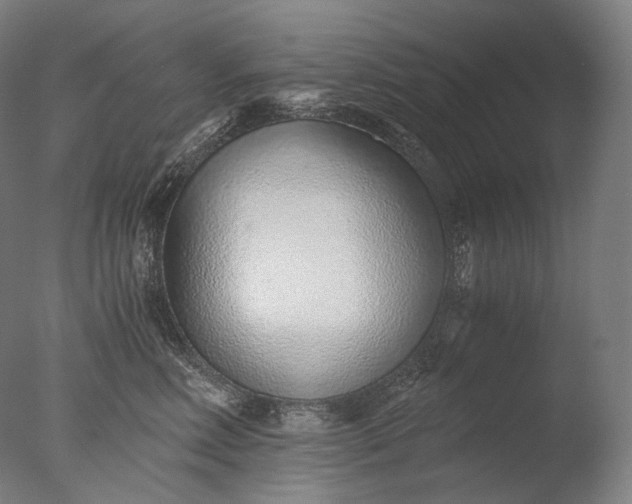 X0000076410618200610161102