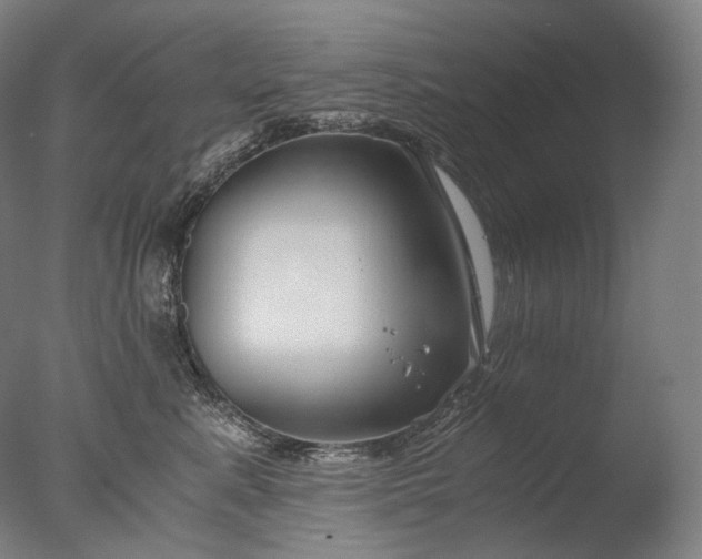 X0000076410619200610161102