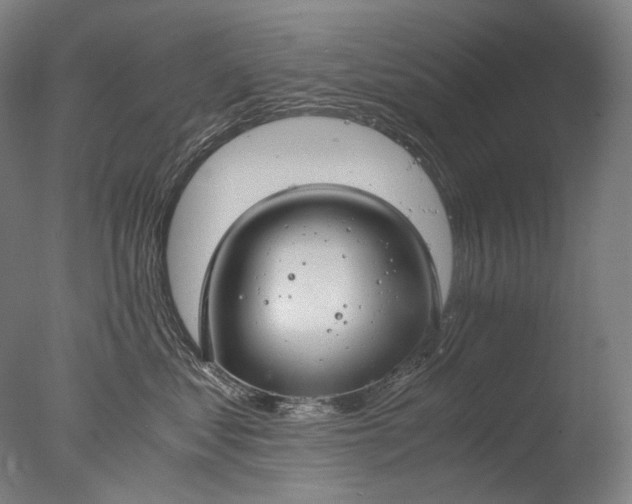X0000076410621200610161102