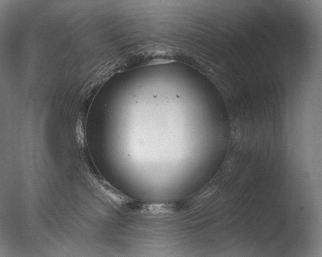 X0000076410622200610161102