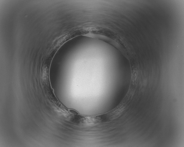 X0000076410623200610161102