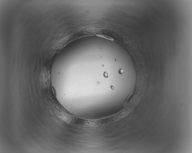 X0000076410624200610161102