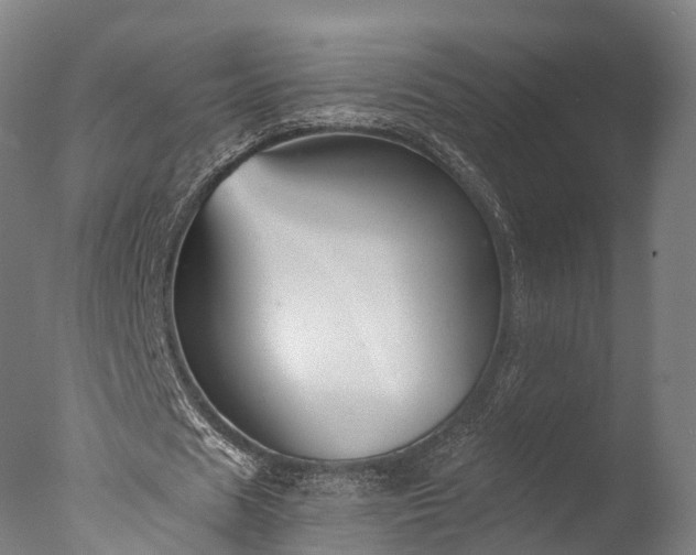 X0000076410625200610161101