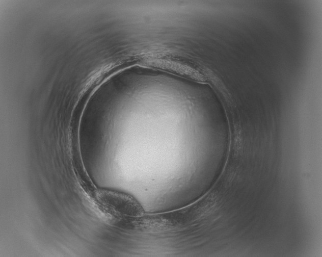 X0000076410626200610161101