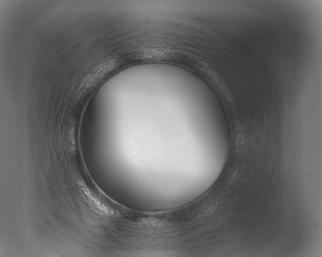 X0000076410633200610161101
