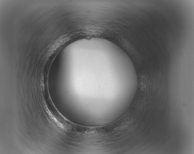 X0000076410634200610161101