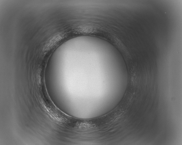 X0000076410635200610161101