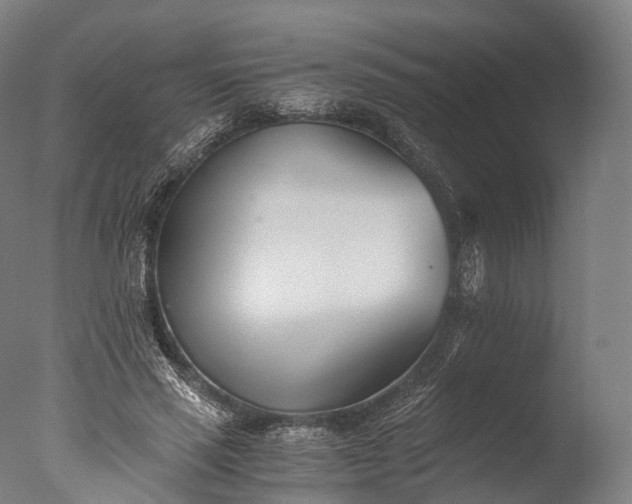 X0000076410637200610161101