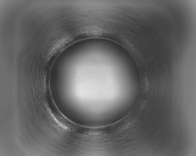 X0000076410638200610161101