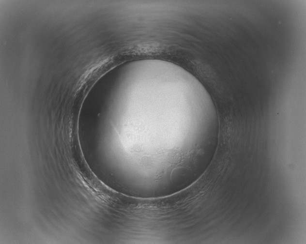 X0000076410640200610161102