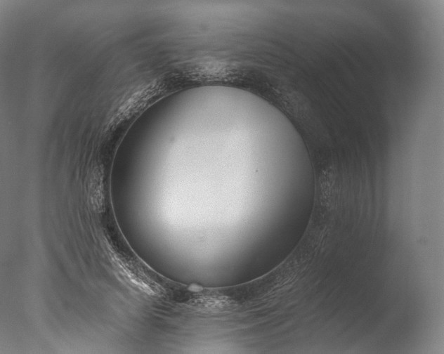 X0000076410642200610161102