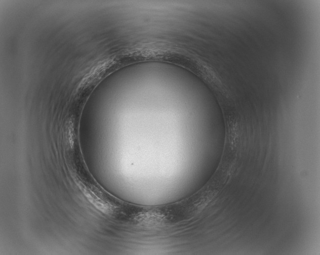 X0000076410644200610161102
