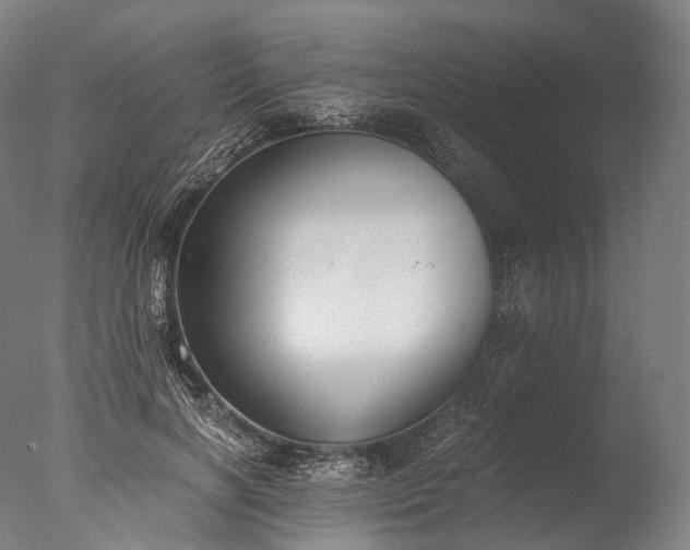 X0000076410646200610161102