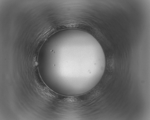 X0000076410652200610161102