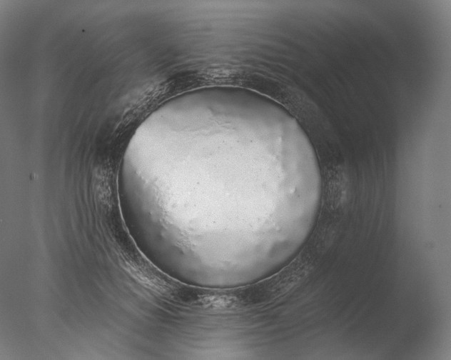 X0000076410654200610161102