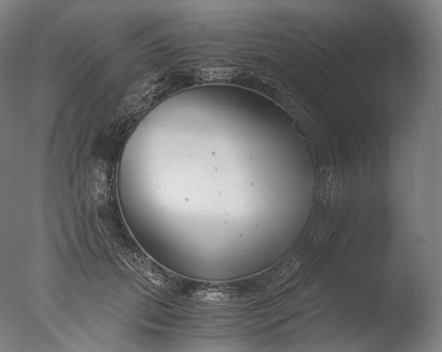 X0000076410655200610161102