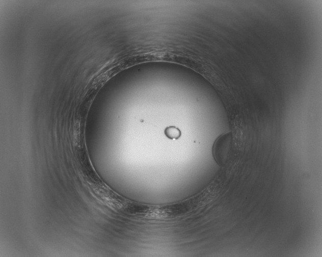 X0000076410656200610161102
