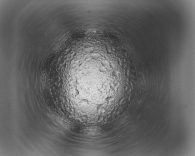 X0000076410659200610161102