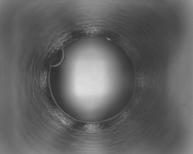 X0000076410660200610161102
