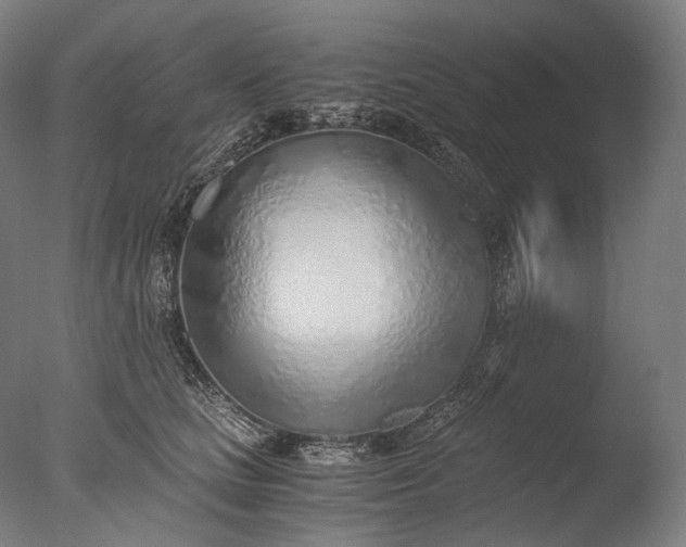 X0000076410661200610161102