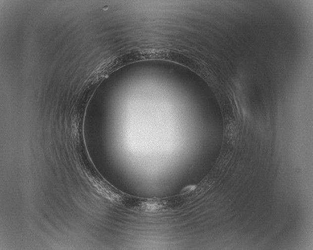 X0000076410662200610161102