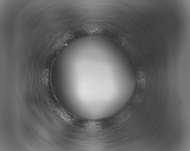 X0000076410664200610161102