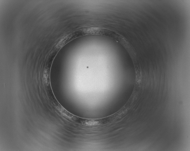 X0000076410669200610161102