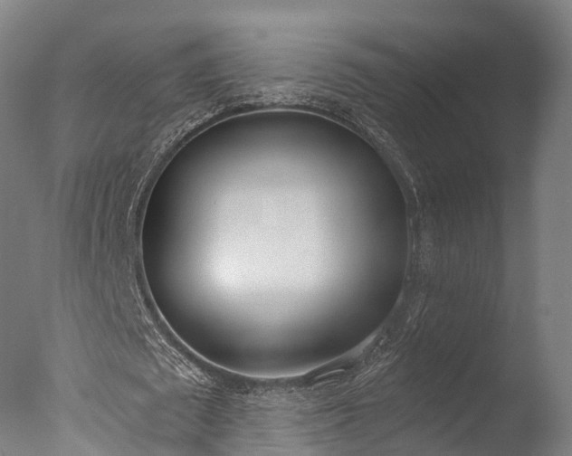 X0000076410673200610161101