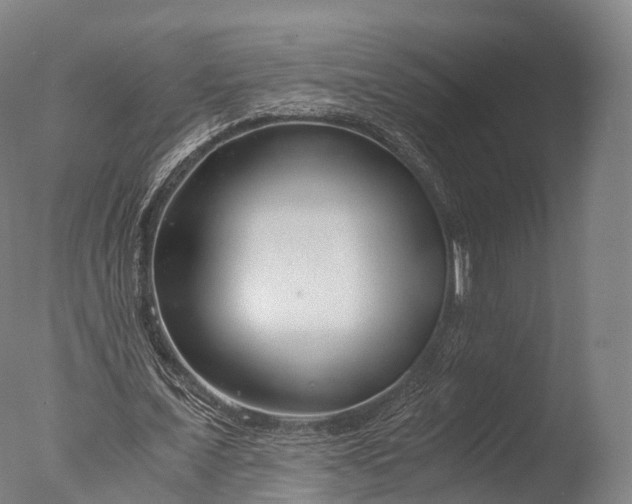 X0000076410675200610161101