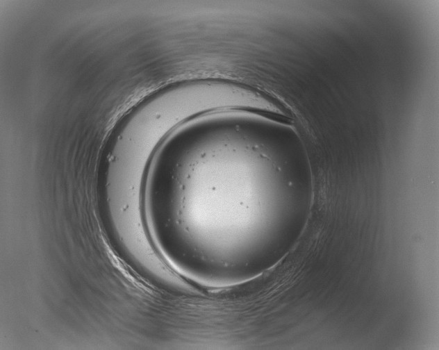 X0000076410677200610161101