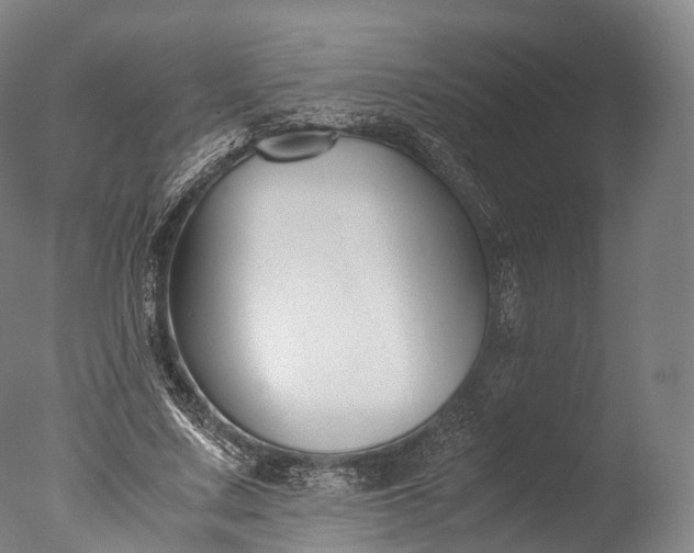 X0000076410683200610161101