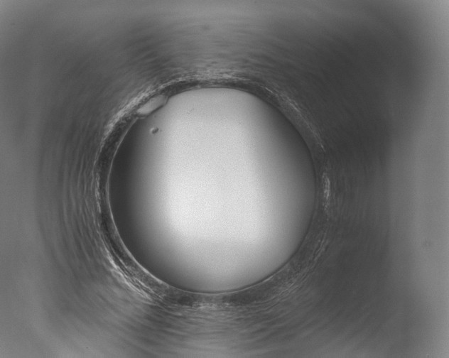X0000076410684200610161101