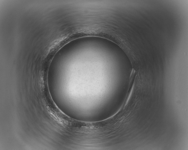 X0000076410688200610161101