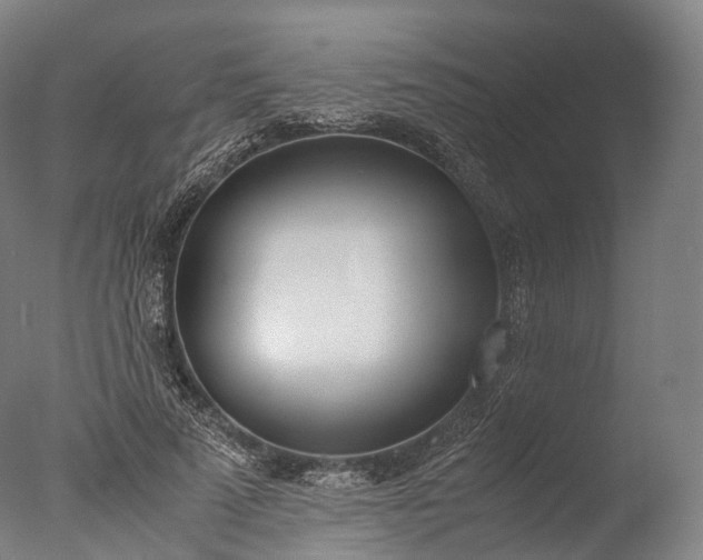 X0000076410689200610161101