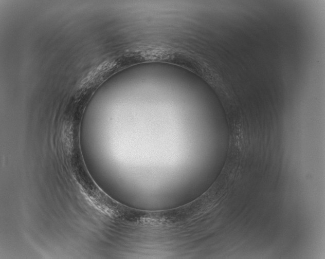 X0000076410690200610161101