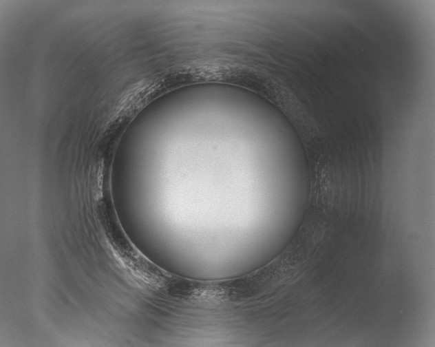 X0000076410694200610161101