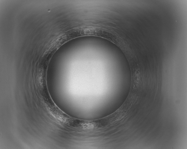 X0000076410698200610161101