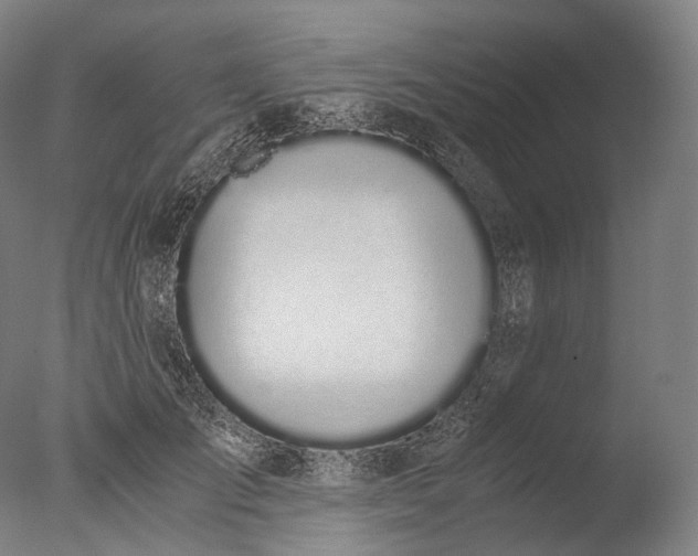 X0000076410701200610161101