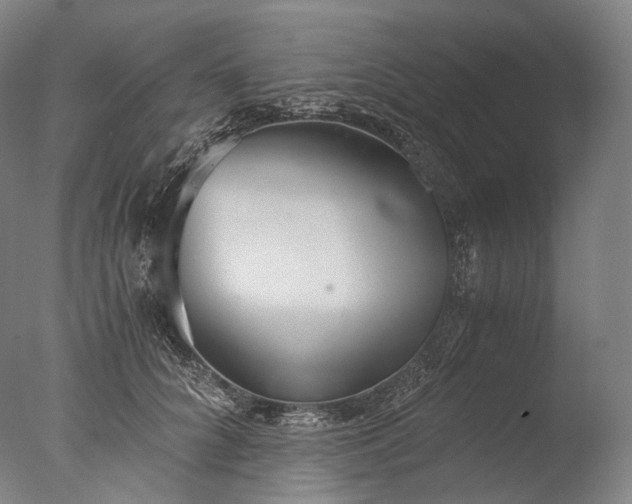 X0000076410704200610161101