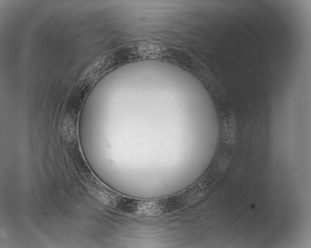 X0000076410705200610161101