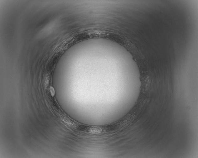 X0000076410709200610161101