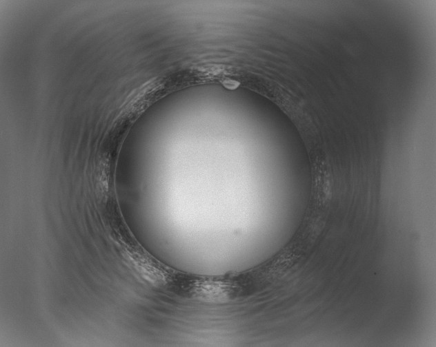 X0000076410710200610161101