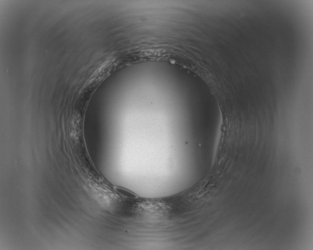 X0000076410712200610161101