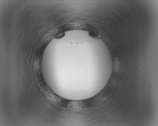 X0000076410713200610161101