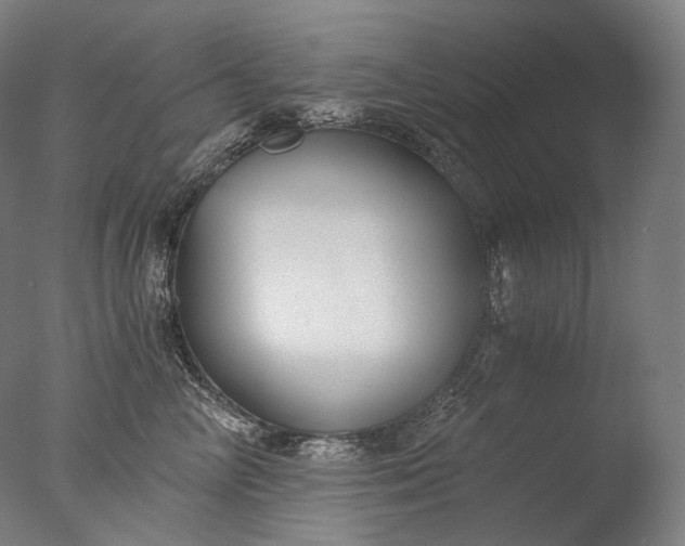 X0000076410714200610161101