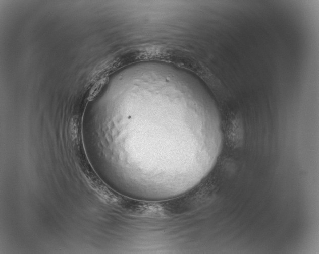X0000076410715200610161101